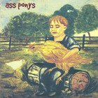 Ass Ponys - Some Stupid With A Flare Gun