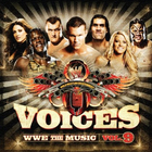 WWE The Music Vol. 9