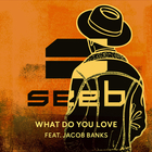 Seeb - What Do You Love (CDS)