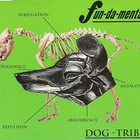 Dog-Tribe (EP)