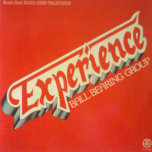 Experience (Vinyl)
