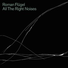 Roman Flugel - All The Right Noises