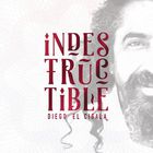 Diego El Cigala - Indestructible
