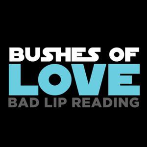 Bushes Of Love (CDS)