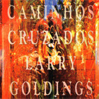 Larry Goldings - Caminhos Cruzados