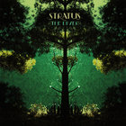 Stratus - The Diver