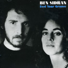 Ben Sidran - Feel Your Groove (Vinyl)