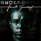 Harald Grosskopf - Synthesist (Vinyl)