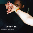Love$ick (Feat. A$ap Rocky) (CDS)