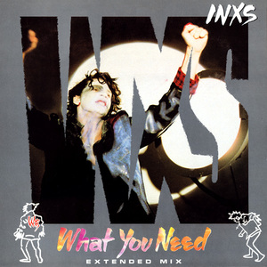 What You Need (Extended Mix) (VLS)