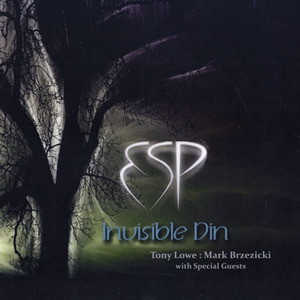 Invisible Din