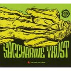 Saccharine Trust - The Great One Is Dead