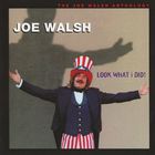 Joe Walsh - Look What I Did! CD1