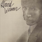 David Werner - Imagination Quota (Vinyl)