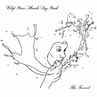 Clap Your Hands Say Yeah - The Tourist