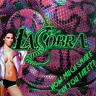L.A. Cobra - How Much Snake Can You Take?