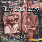 Harvey Mandel - Nothin' But The Blues - Blues From Chicago (With Barry Goldberg)