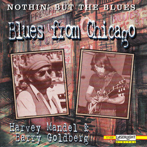 Nothin' But The Blues - Blues From Chicago (With Barry Goldberg)