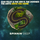 Sam Feldt - Drive You Home (CDS)