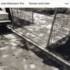 Julia Hulsmann Trio - Sooner And Later
