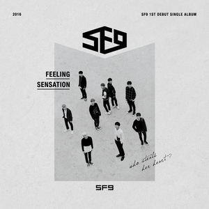 Feeling Sensation (CDS)
