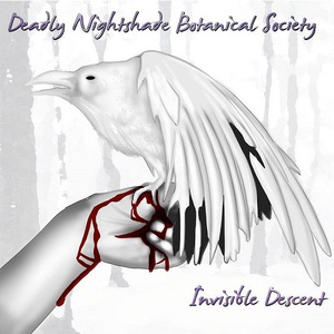 Invisible Descent