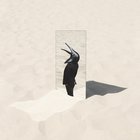 Penguin Café - The Imperfect Sea