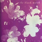 The Black Watch - Flowering