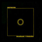 Destroyer - Streethawk: A Seduction