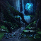 Brandon Fiechter - Dark Journey