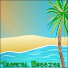 Derek & Brandon Fiechter - Tropical Breezes
