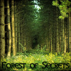 Derek & Brandon Fiechter - Forest Of Secrets