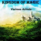 Derek & Brandon Fiechter - Kingdom Of Magic