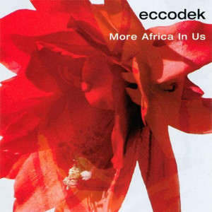More Africa In Us