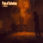 Pain of Salvation - Ashes (EP)
