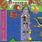 The Slickee Boys - Cybernetic Dreams Of Pi (Vinyl)