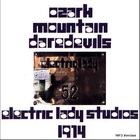 Broadcast At The Electric Lady Studio (Vinyl)