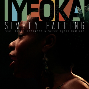 Simply Falling Remixes (EP)