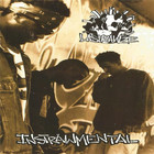 Instrawmental