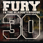 Fury In The Slaughterhouse - 30 - The Ultimate Best Of Collection CD3