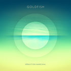 Workbench - Goldfish