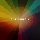 Workbench - Synesthesia