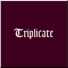 Bob Dylan - Triplicate CD3