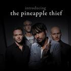 The Pineapple Thief - Introducing The Pineapple Thief