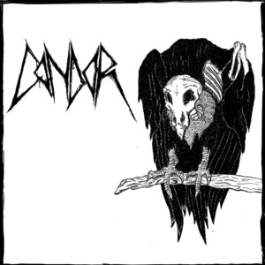 Condor (Vinyl)