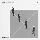 Winner - Fate Number For (CDS)