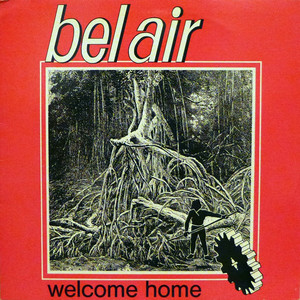 Welcome Home (Vinyl)