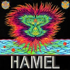 Peter Michael Hamel - Hamel (Vinyl)