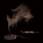The Afghan Whigs - Black Love (Remastered 20Th Anniversary Edition)