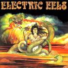 Electric Eels (Vinyl)